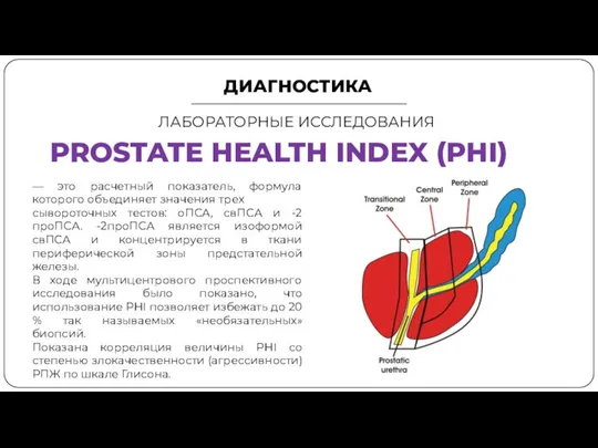 ДИАГНОСТИКА ЛАБОРАТОРНЫЕ ИССЛЕДОВАНИЯ PROSTATE HEALTH INDEX (PHI) — это расчетный показатель, формула