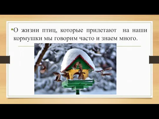 О жизни птиц, которые прилетают на наши кормушки мы говорим часто и знаем много.