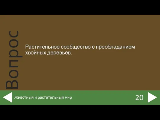 Растительное сообщество с преобладанием хвойных деревьев. 20 Животный и растительный мир