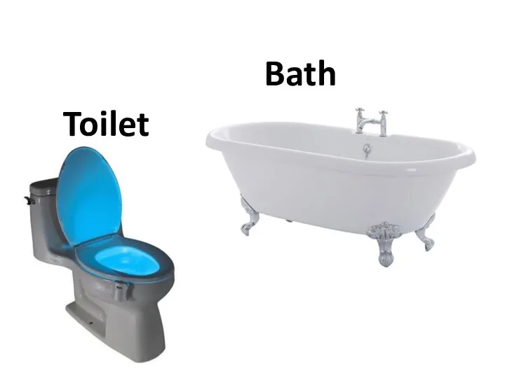 Bath Toilet