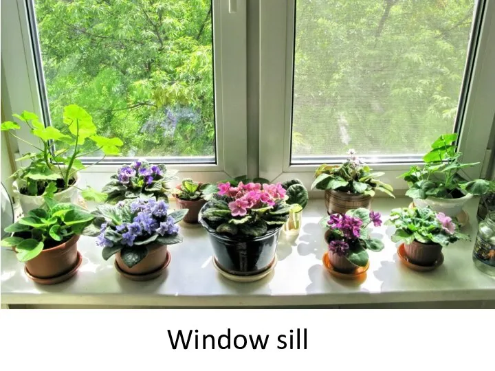 Window sill