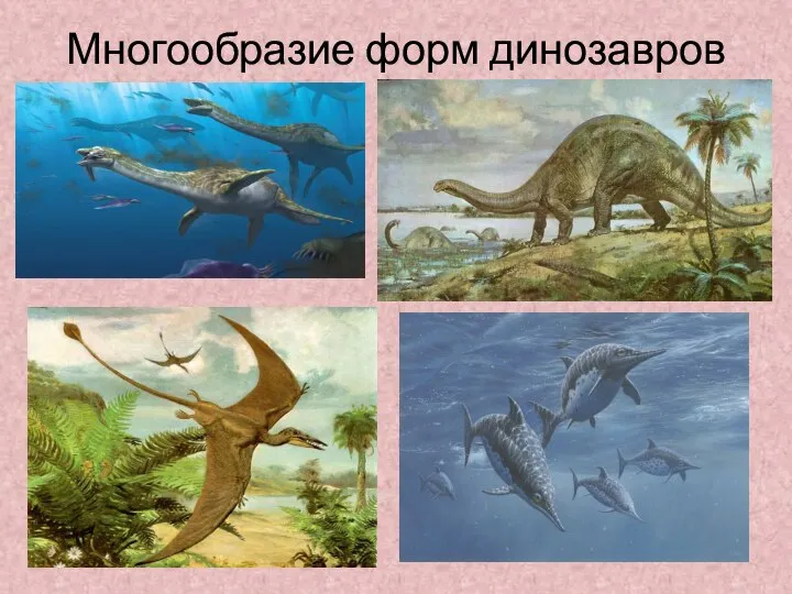 Многообразие форм динозавров
