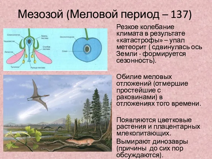 Мезозой (Меловой период – 137) Резкое колебание климата в результате «катастрофы» –