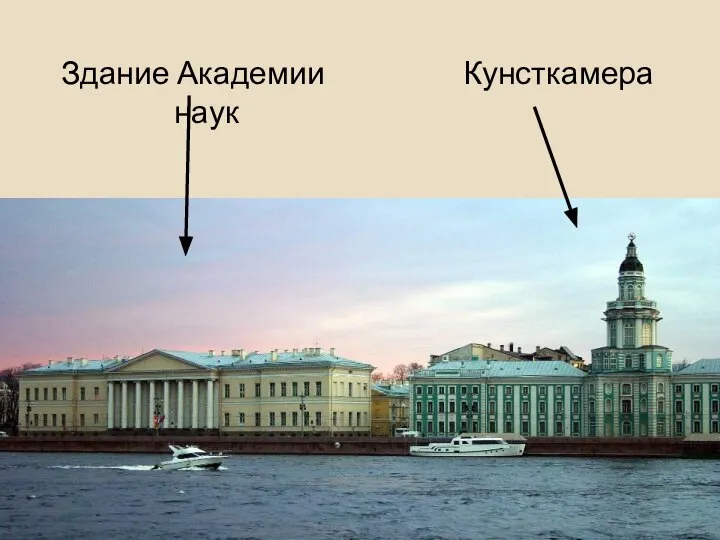 Здание Академии наук Кунсткамера