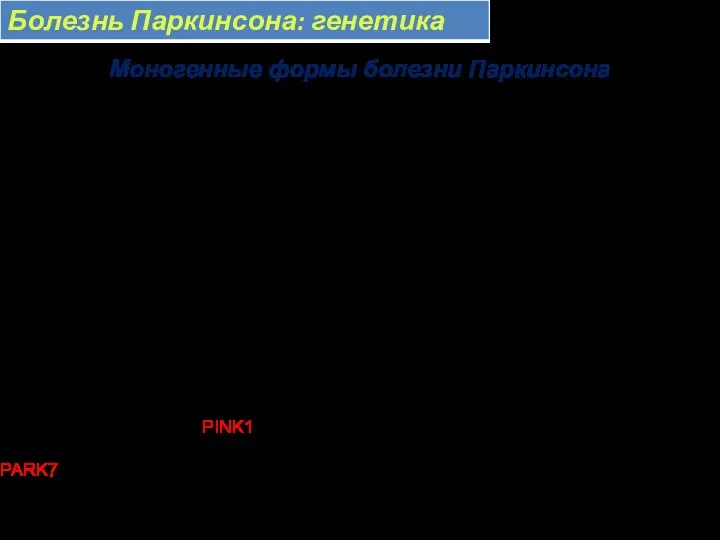 Моногенные формы болезни Паркинсона Н.А. Шнайдер, М.Р. Сапронова, 2012 с дополнениями