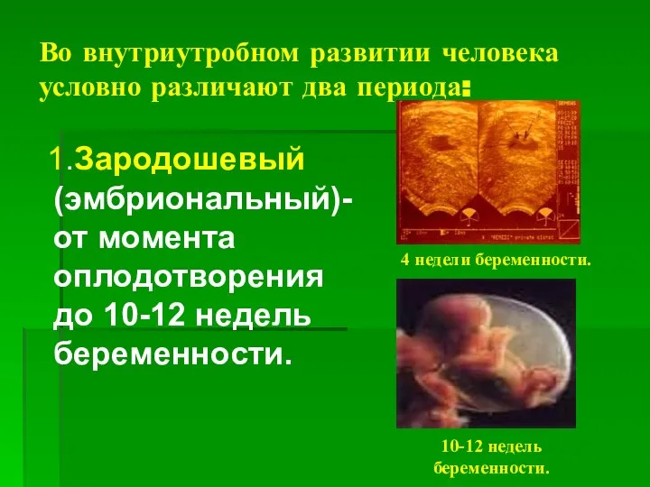 Во внутриутробном развитии человека условно различают два периода: 1.Зародошевый (эмбриональный)- от момента