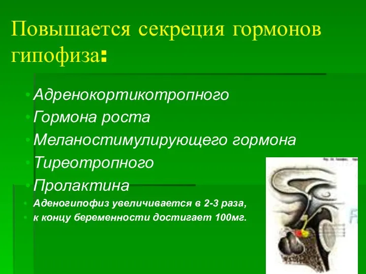 Повышается секреция гормонов гипофиза: Адренокортикотропного Гормона роста Меланостимулирующего гормона Тиреотропного Пролактина Аденогипофиз