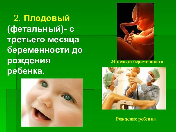 2. Плодовый (фетальный)- с третьего месяца беременности до рождения ребенка. 24 недели беременности Рождение ребенка