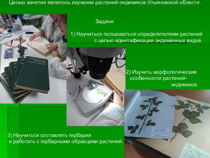 Целью занятия являлось изучение растений-эндемиков Ульяновской области. Задачи: 1) Научиться пользоваться определителями