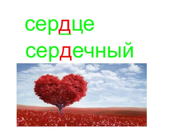 сер_це сердечный д