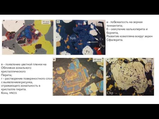 а - побежалость на зернах теннантита; б – окисление халькопирита и борнита,