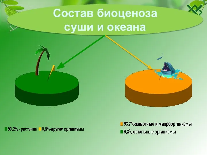 Состав биоценоза суши и океана