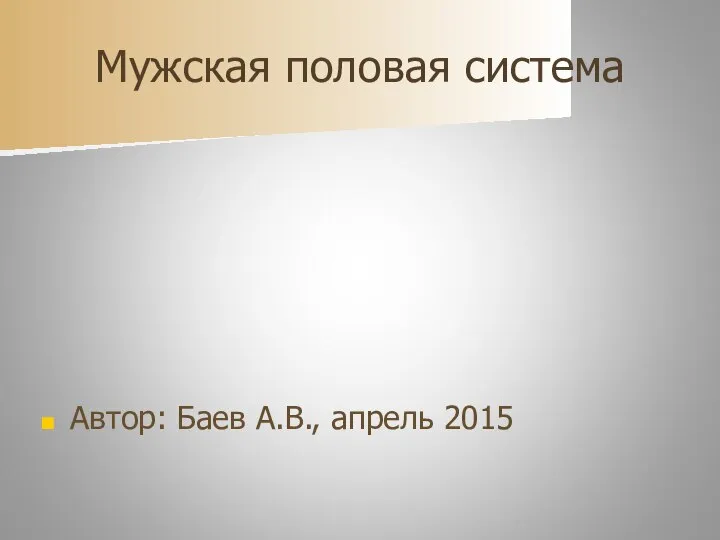 Мужская половая система Автор: Баев А.В., апрель 2015