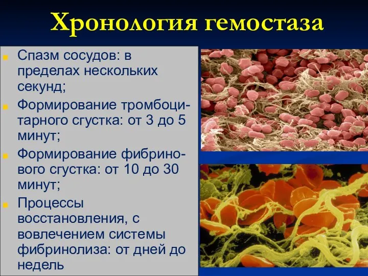 Хронология гемостаза Спазм сосудов: в пределах нескольких секунд; Формирование тромбоци-тарного сгустка: от