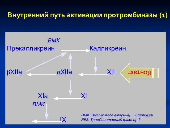 ВМК Прекалликреин Калликреин βXIIa αXIIa XII XIa XI ВМК IX Внутренний путь