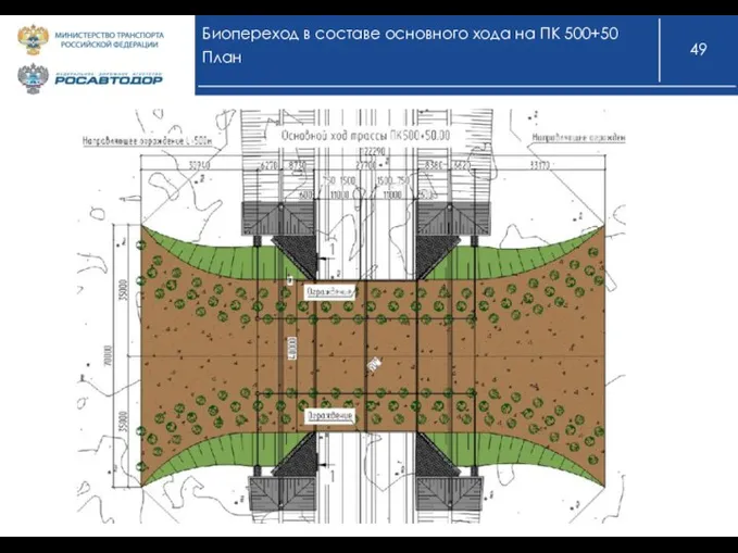 Биопереход в составе основного хода на ПК 500+50 План