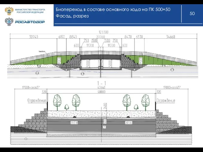 Биопереход в составе основного хода на ПК 500+50 Фасад, разрез