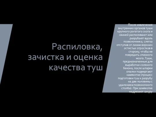 Распиловка, зачистка и оценка качества туш После извлечения внутренних органов туши крупного