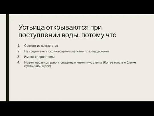 Устьица открываются при поступлении воды, потому что Состоят из двух клеток Не