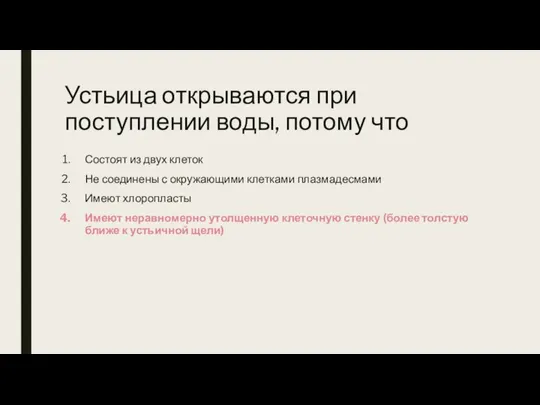 Устьица открываются при поступлении воды, потому что Состоят из двух клеток Не