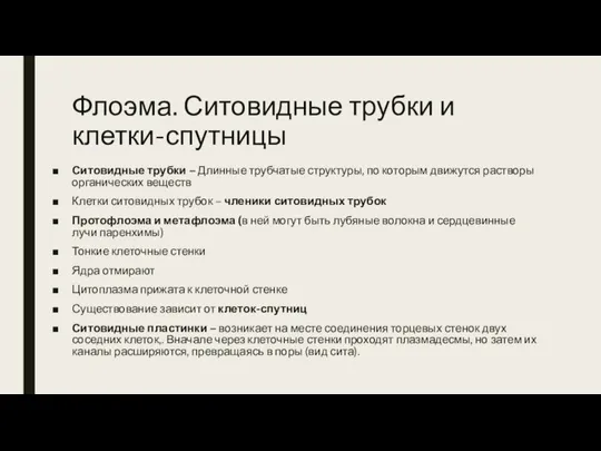 Флоэма. Ситовидные трубки и клетки-спутницы Ситовидные трубки – Длинные трубчатые структуры, по