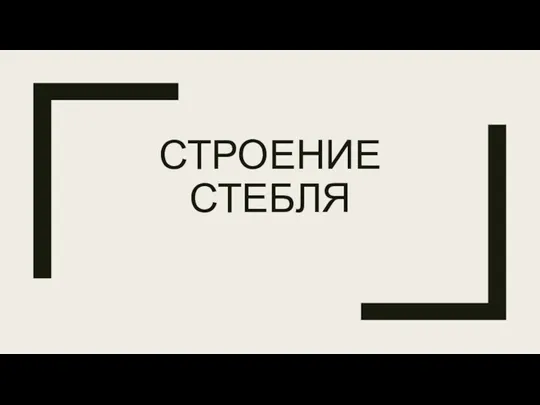 СТРОЕНИЕ СТЕБЛЯ