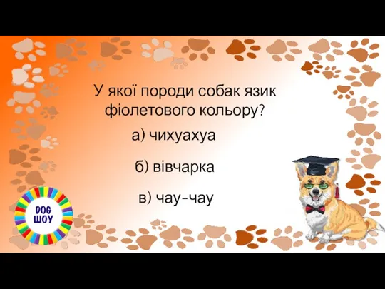 У якої породи собак язик фіолетового кольору? а) чихуахуа б) вівчарка в) чау-чау