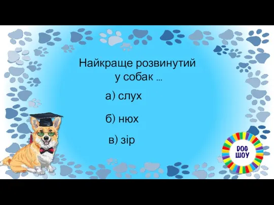 Найкраще розвинутий у собак … а) слух в) зір б) нюх