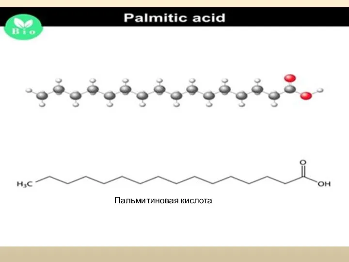 Пальмитиновая кислота