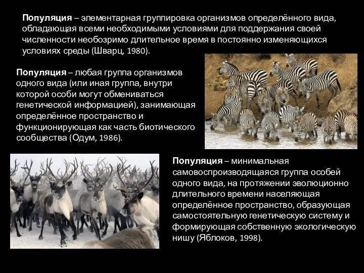 Популяция – элементарная группировка организмов определённого вида, обладающая всеми необходимыми условиями для