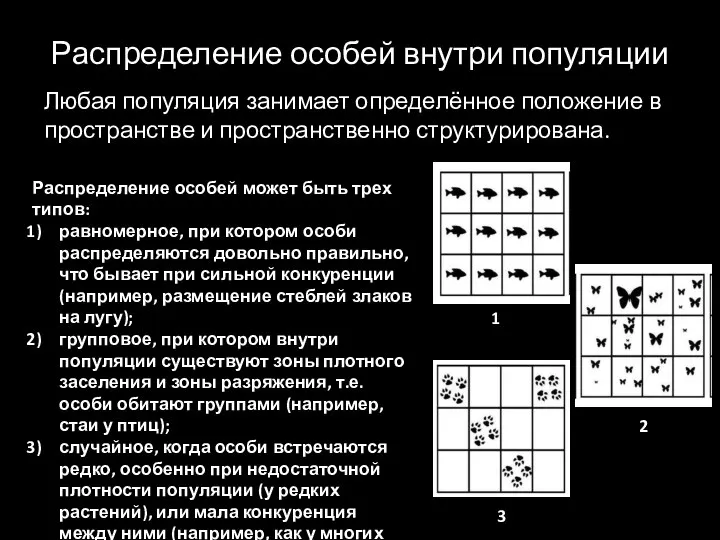 Распределение особей внутри популяции Распределение особей может быть трех типов: равномерное, при