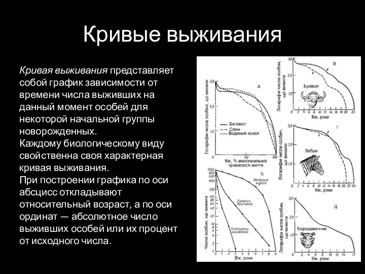 Кривые выживания Кривая выживания представляет собой график зависимости от времени числа выживших