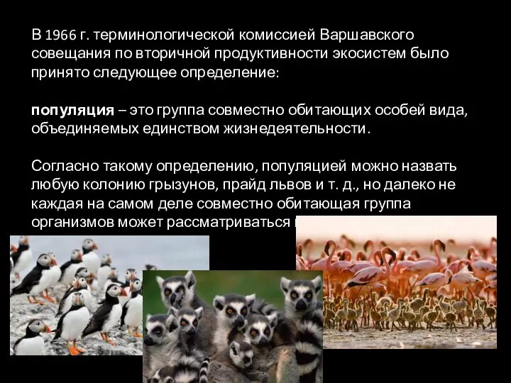 В 1966 г. терминологической комиссией Варшавского совещания по вторичной продуктивности экосистем было