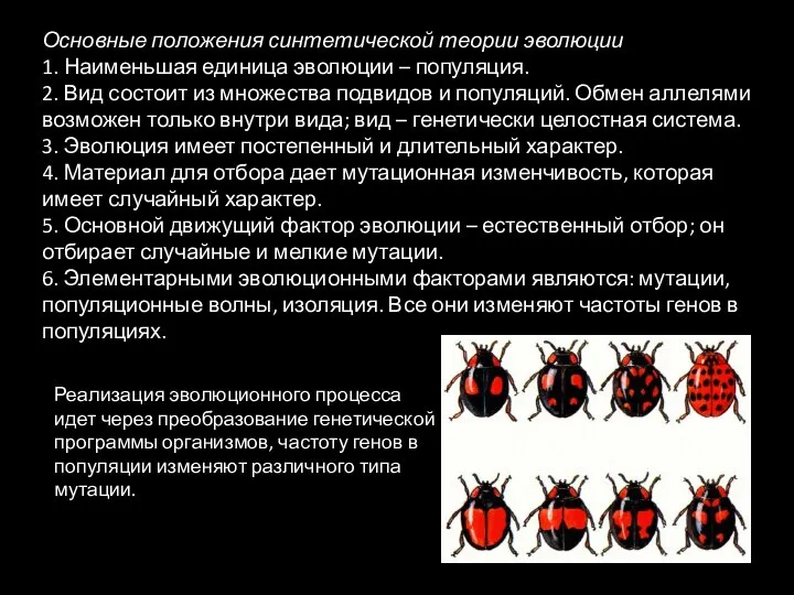 Основные положения синтетической теории эволюции 1. Наименьшая единица эволюции – популяция. 2.