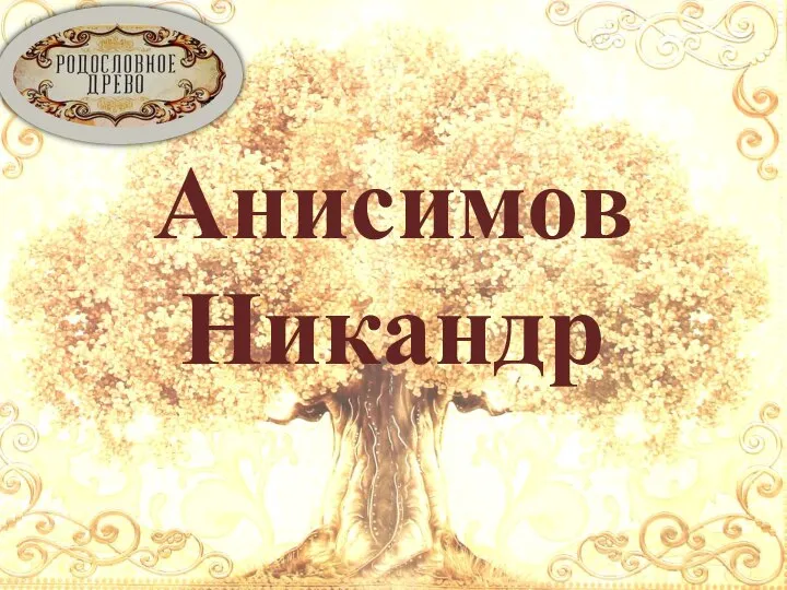 Анисимов Никандр