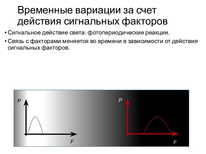 Временные вариации за счет действия сигнальных факторов Сигнальное действие света: фотопериодические реакции.