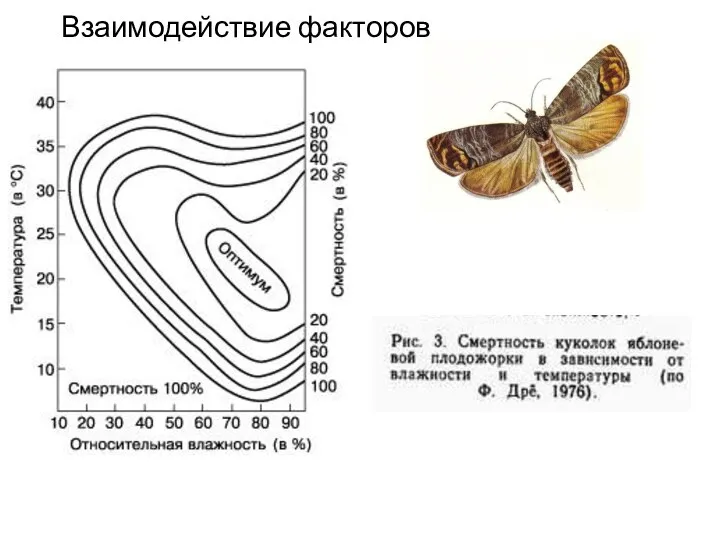 Взаимодействие факторов