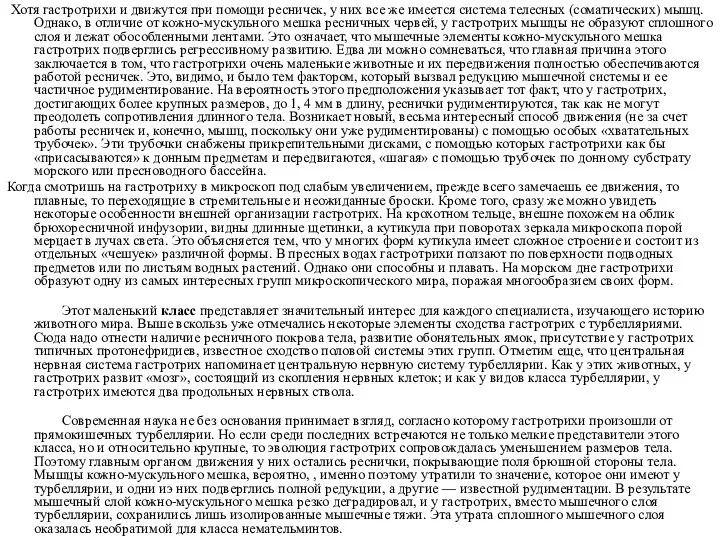 Хотя гастротрихи и движутся при помощи ресничек, у них все же имеется