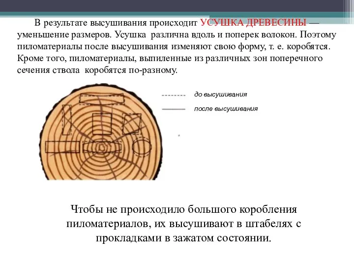 В результате высушивания происходит УСУШКА ДРЕВЕСИНЫ — уменьшение размеров. Усушка различна вдоль