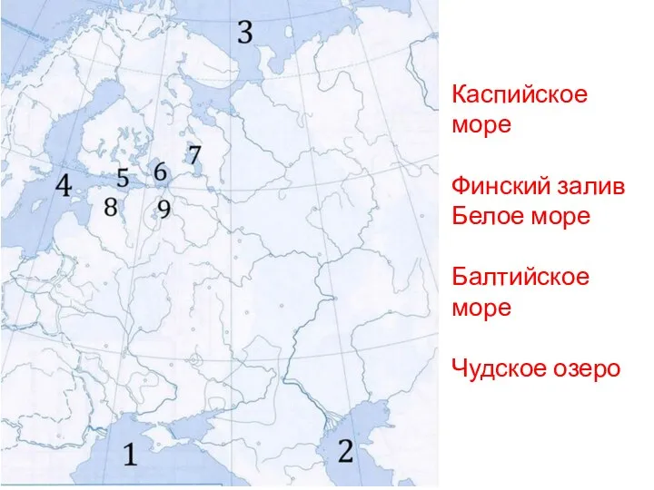 Каспийское море Финский залив Белое море Балтийское море Чудское озеро