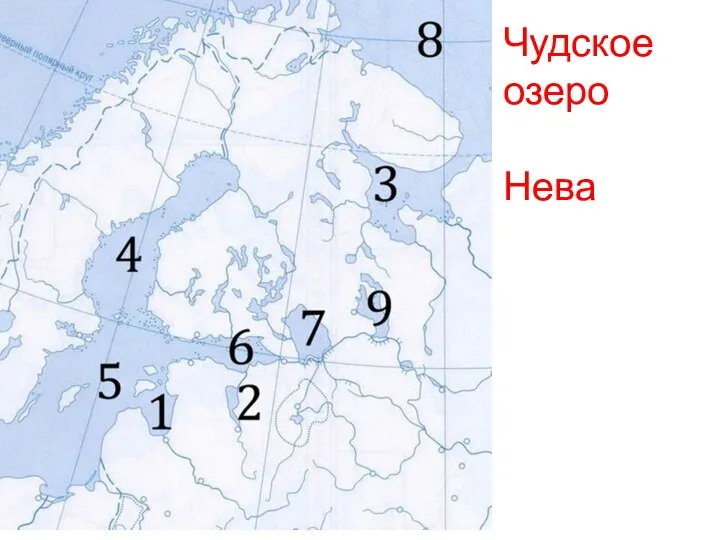 Чудское озеро Нева