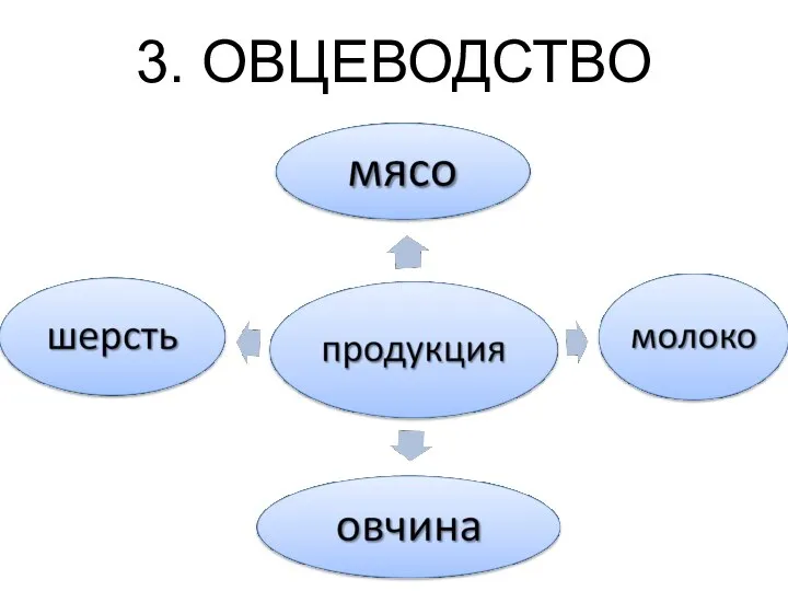 3. ОВЦЕВОДСТВО