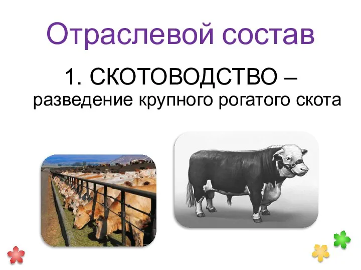 Отраслевой состав 1. СКОТОВОДСТВО – разведение крупного рогатого скота