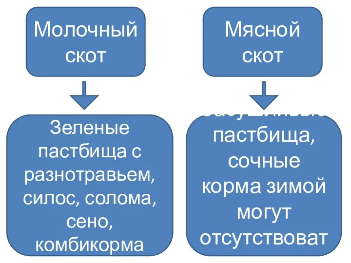 Молочный скот Мясной скот Зеленые пастбища с разнотравьем, силос, солома, сено, комбикорма