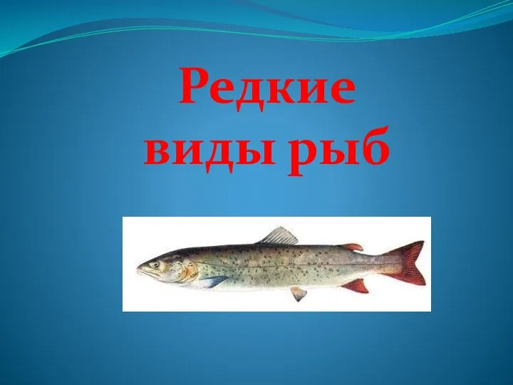 Редкие виды рыб