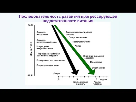 Последовательность развития прогрессирующей недостаточности питания