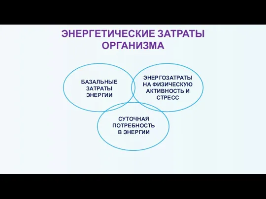 ЭНЕРГЕТИЧЕСКИЕ ЗАТРАТЫ ОРГАНИЗМА СУТОЧНАЯ ПОТРЕБНОСТЬ В ЭНЕРГИИ БАЗАЛЬНЫЕ ЗАТРАТЫ ЭНЕРГИИ ЭНЕРГОЗАТРАТЫ НА ФИЗИЧЕСКУЮ АКТИВНОСТЬ И СТРЕСС