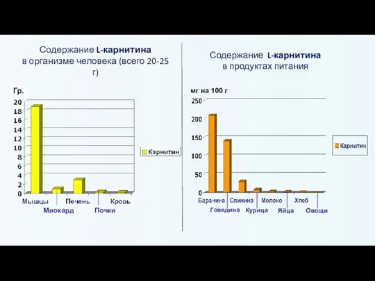 Содержание L-карнитина в организме человека (всего 20-25 г) Миокард Почки Гр. Говядина