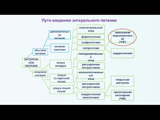 Пути введения энтерального питания ЭНТЕРАЛЬНОЕ ПИТАНИЕ обычное питание зондовое питание дополнительное питание