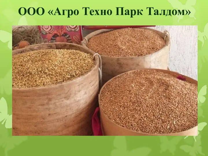 ООО «Агро Техно Парк Талдом»